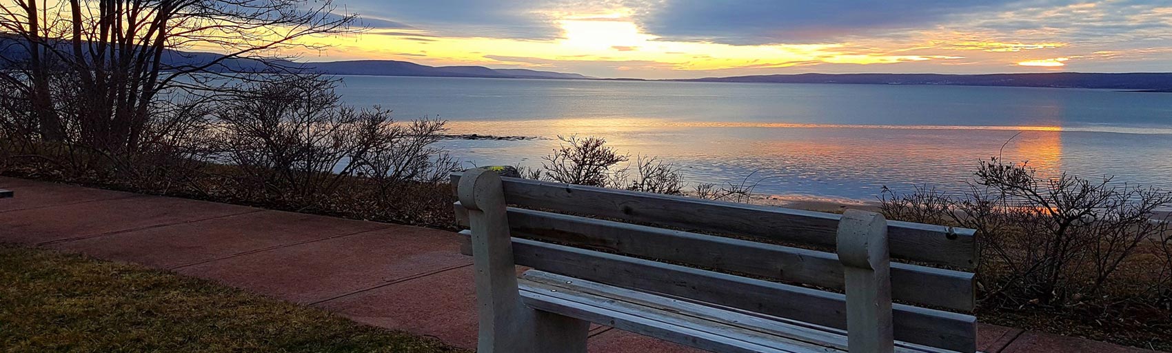 park-bench